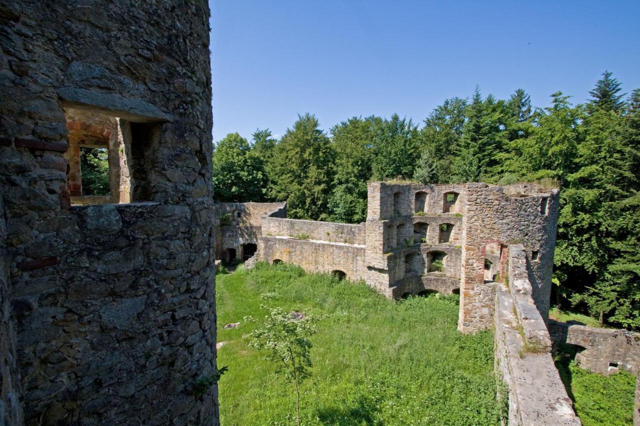 Blockhaus Stamsried Villa Exterior foto